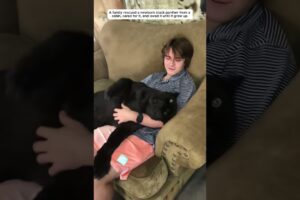 A family rescued a newborn black panther cub from a cabin. #panther #animals #shorts