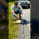 Act of Rescue — A Man Saves a Duck Mother and Her Chicks from a Net