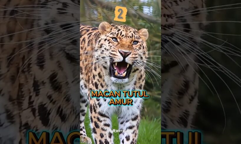 Ada Di Indonesia! 3 Hewan Paling Langka (Part 2)