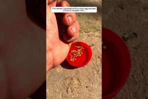 Adorable egg #animals #egg #duck #lovestory #wildliferescue #adoption #rescue #pets #cute #wildlife