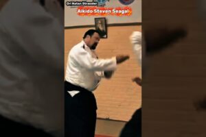 Aikido Steven Seagal self defence in real life in street ‏fighting‪⁨ @AhavatGordonOfficial