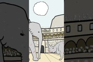 Animal Battles of the Colosseum 🦏 🐅 #animation #animated #colosseum #history #learning