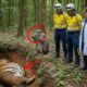 Animal Rescue - Monkey Begs Doctor To Save Pregnant Tiger Trapped In Pit | RescueNest