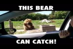 BEST GoPro POV Near DEATH EPIC FAILS || PART 17 || CRASH COMPILATION 2016 HD