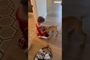 Best Moment on the Internet ❤️ #surprise #kids #cute #puppies #shorts