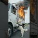 Brave K9 Dog Saves Truck Driver! #dogs #rescue #animals