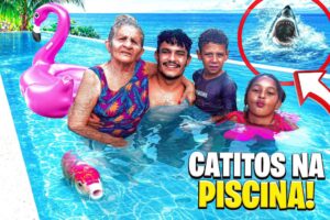 CATITOS NA PISCINA 😍