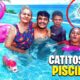 CATITOS NA PISCINA 😍