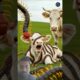 Centipedes 🐛 attacked baby cow 🐄 rescued by mother cow #cow #animals #rescue #reels #centipede#ai