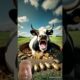 Cow 🐄 rescued from millions of beetles rescued by team #animals #cow #cartoon #ai #rescue #videos