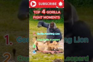 Crazy 🦍 fight- Wait for the end! #viral #shorts #animal