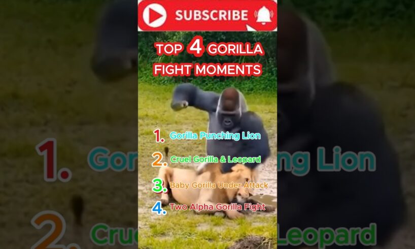 Crazy 🦍 fight- Wait for the end! #viral #shorts #animal