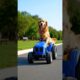 Cute Dog Driving Toy Adorable Video #dog #cute #funny #shortvideo