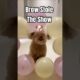 Cute Puppies Take the Balloon Obstacle Challenge — Unexpected Winner! #puppies #balloons