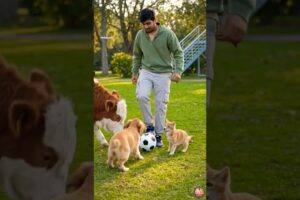 Cute Puppies | cow baby Funny Video #puppy #cute #dog #funny #shorts #cow #cowvideos #puppyvideos