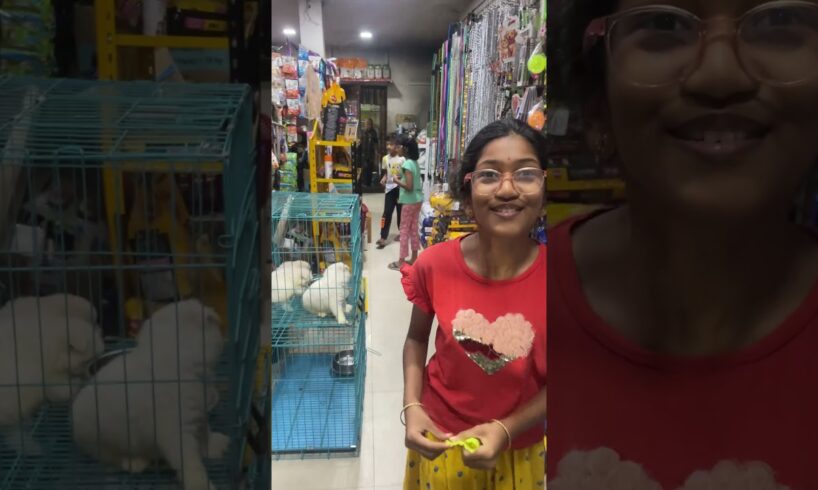 Cute Puppies with cute children