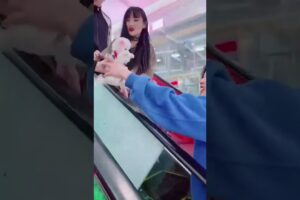 Cute puppy 🥰 #trendingshorts #cute #puppies #shortsfeed #shorts