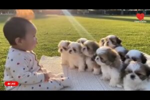 Cutest Baby & Puppy Moments 🥹🐶 | Dalmatian & Husky Puppies Funny Reactions Compilation!😂
