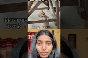 Cutest Kitten In The World😱 #shorts