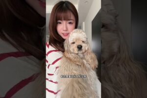 Cutest Puppies: Are They Proud or Just Happy