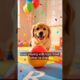 Cutest Puppies Playing Ever 🐶 Perfect for Toddlers! #shorts #shortviral #pets
