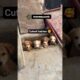 🥰Cutest Puppies ever🐶मासूम बच्चे।#justinsaan#dailycomedy#fun#topnewytshort#amazing#mostviral#pet2026
