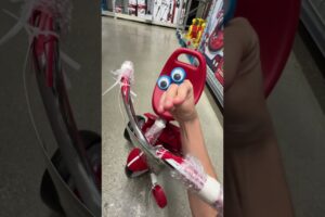 DON’T TAKE CRAZY PUPPIES SHOPPING