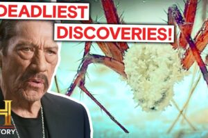 Deadly Finds & Dangerous Discoveries | Mysteries Unearthed with Danny Trejo