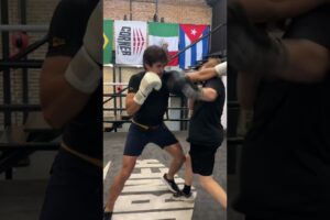 Desafio: Influenciador de luta vs lutador de mma (quem levou?)