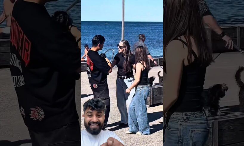 Duckling Saves seriously injured cat 🐥🙏🏻#DuckleRescue #CuteAnimals #animalrescue