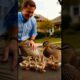 Ducklings Stuck in Drain Rescued by Kind Man | Emotional Animal Rescue Story