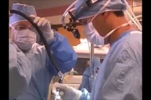 EVIDENCE that the SOUL Exists: Pam Reynolds' NEAR DEATH Experience