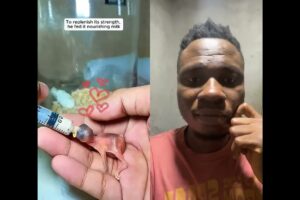 Emotional 😭 A kind man rescue a baby bird that fell off its nest #duet #shorts #shortsfeed