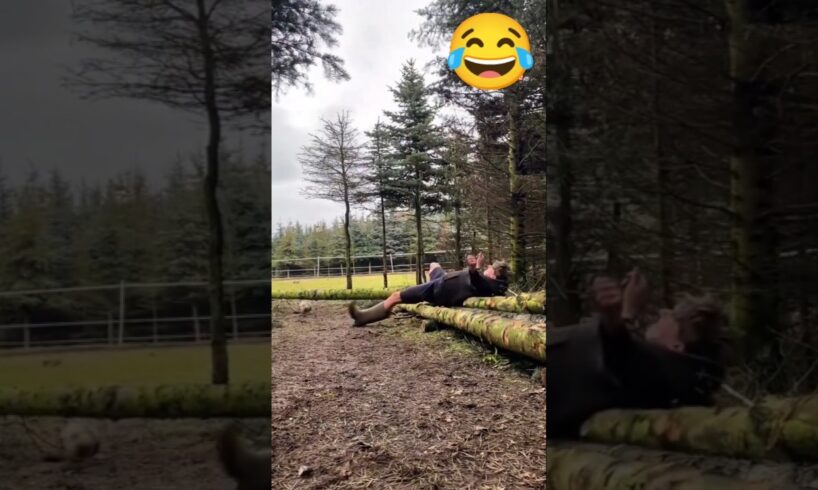 FUNNIEST Fails of the Week 😭😂 EP 128 #funny #fail #ocean