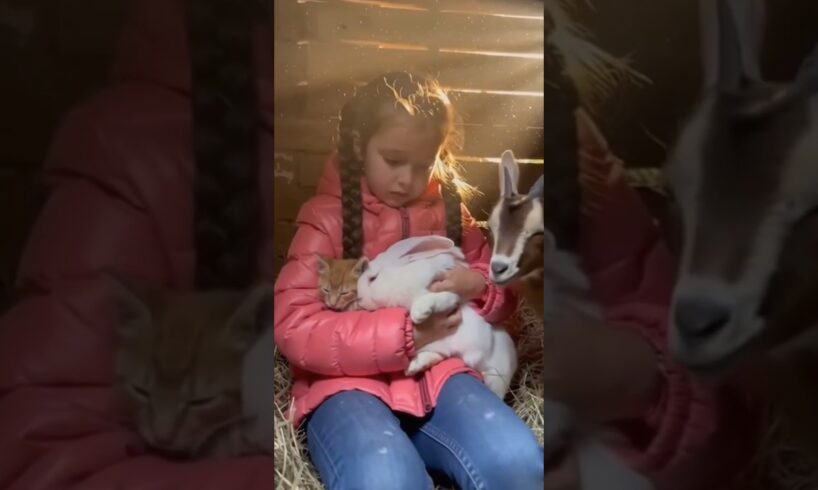 Father and Daughter Race a Tornado While Rescuing Animals#animalrescue #rescueanimals