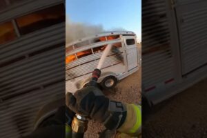 Firefighter Rescues Animals Stuck In A Traffic Fire!