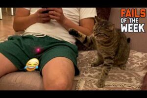 Funniest fails of the Week | Try Not To Laugh Challenge 😂🔥 | part 5