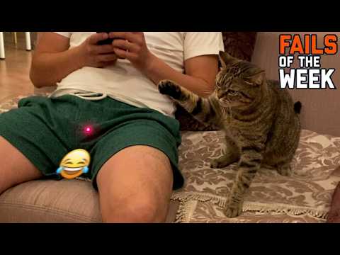 Funniest fails of the Week | Try Not To Laugh Challenge 😂🔥 | part 5