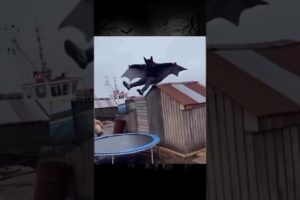 Funniest fails of the week trynottolaugh #fails #shorts #funny