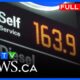 Gas prices continue to rise | CTV Your Morning Edmonton for March 18, 2026