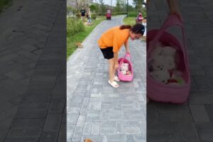 🐱Giant Crocs vs Tiny Puppies! So Cute🐱#shortvideo#trending#puppy#cutepuppy#shorts
