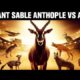 Giant Sable Antelope BRAWL! 10 Brutal Animal Battles!