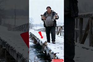 Golden Retriever Rescue of Three Kittens in the Frozen River #animals #animalrescue #dog #save