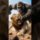 Gorilla vs Alpha Lion –  Epic Animal Fight