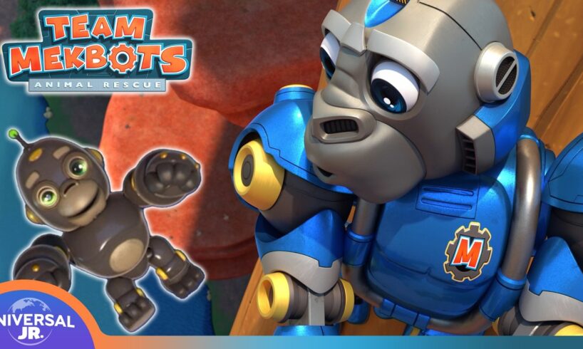 Gorillabot on the Run & Other Adventures | TEAM MEKBOTS ANIMAL RESCUE