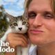 Guy Rescues Random Kitten And Turns Into Ultimate Cat Dad | The Dodo