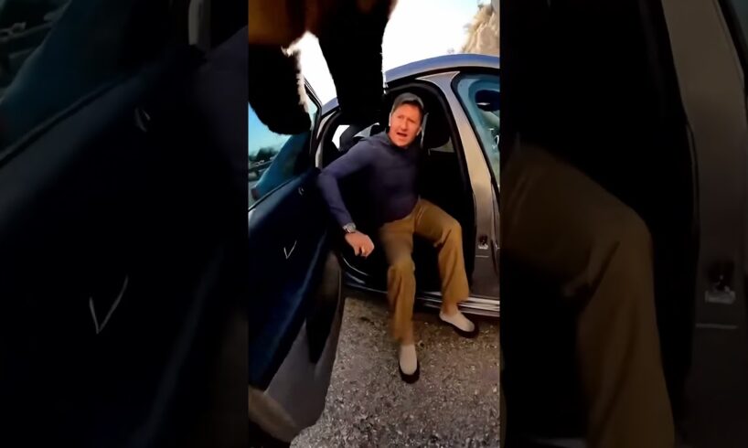 Hero Dog Rescues Man From Falling Off Cliff!