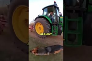 Hero Dog Rescues Sheep From Burning Barn!