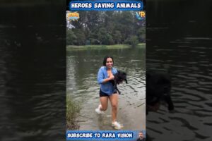 Heroes Saving Animals in Real-Life Rescues 🐾 | Part 16 ❤️