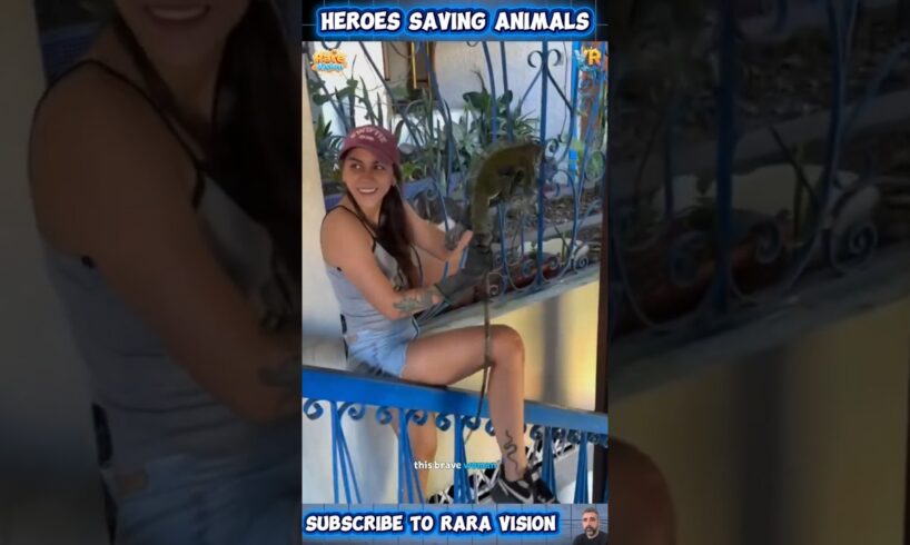 Heroes Saving Animals in Real-Life Rescues 🐾 | Part 22 ❤️